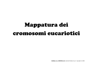 Mappatura dei cromosomi eucariotici
