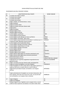 guida interattiva alle piante del pam