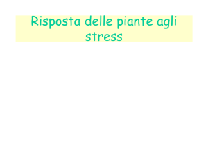 lezione gruppo 1 stress abiotici