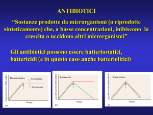 antibiotici e biosintesi del peptidoglicano 2016-17 - e