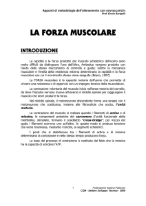 la forza muscolare - Il portale della pallavolo