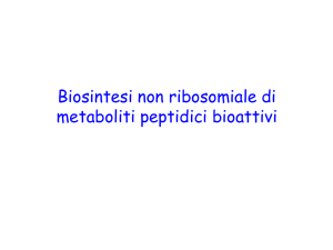Biosintesi non ribosomiale di metaboliti peptidici bioattivi - e