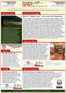 MontalcinoNews - n. 328 -