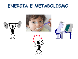 e. Energia e metabolismo (5) 2015