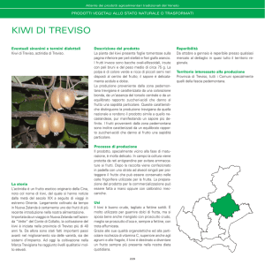 kiwi di treviso - Veneto Agricoltura