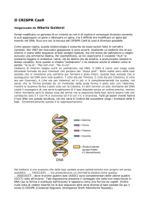 Il CRISP Cas9