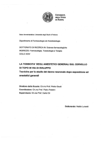 Documento PDF - Padua@Research