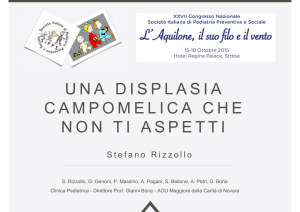 Stefano Rizzollo pdf