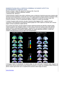 neuropatologia della corteccia cerebrale in
