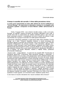 CS "Il tempo è scandito dal cervello: il ritmo della