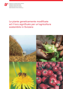 Rapporto: Le piante geneticamente modificate ed il loro significato