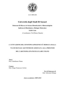 PDF - Università degli Studi di Sassari