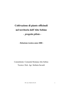 Coltivazione di piante officinali nel territorio dell`Alto Sebino