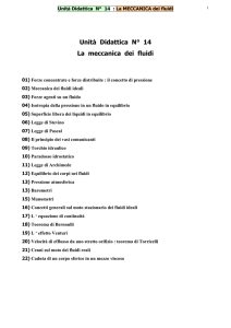 Unità Didattica N° 14 La meccanica dei fluidi