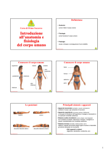 Introduzione all`anatomia e fisiologia umana