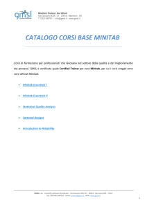 Catalogo Corsi Base Minitab