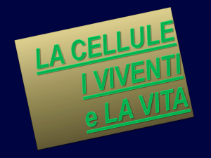 LA CELLULA - istituto comprensivo di calcinaia