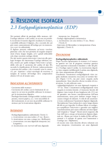 2.3 Esofagodigiunoplastica