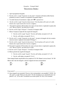 triangoli simili