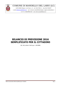 Bilancio semplificato per il cittadino 2016