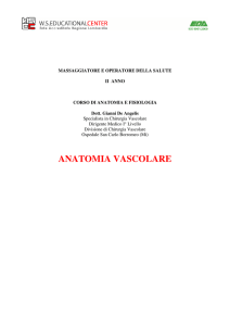 anatomia vascolare - WS Educational Center