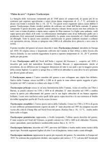 scarica file PDF - Botanica La Romola