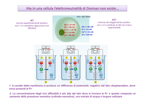 Ma in una cellula l`elettroneutralità di Donnan non esiste... - e