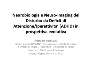 neuroimaging e neurobiologia