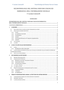 NEUROFISIOLOGIA DEL SISTEMA NERVOSO