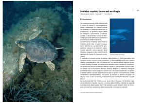 Habitat marini: fauna ed ecologia