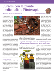 Curarsi con le piante medicinali: la Fitoterapia!