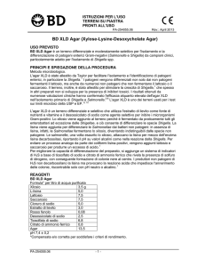 BD XLD Agar (Xylose-Lysine-Desoxycholate Agar)