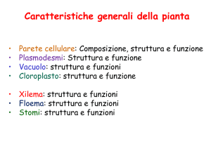 Presentazione di PowerPoint - Didattica