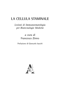 la cellula staminale