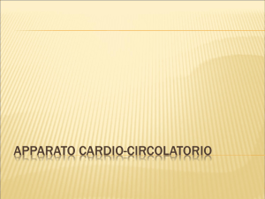 apparato cardio-circolatorio - Aula Virtual Maristas Mediterránea
