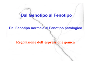 Dal Genotipo al Fenotipo