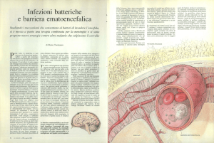 Infezioni batteriche e barriera ematoencefalica