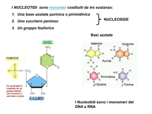 I Nucleotidi