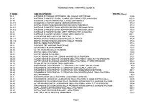 nomenclatore tariffario regionale
