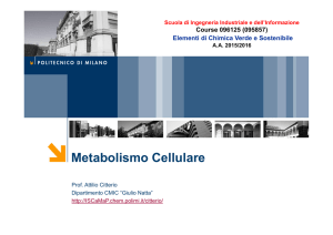Metabolismo Cellulare