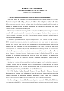 IL CERVELLO ALLO SPECCHIO