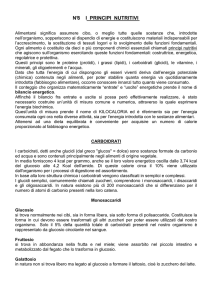 I Principi Nutritivi - Istituto Guglielmo Marconi di Prato
