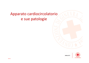 Apparato Cardiocircolatorio - Comitato Locale Croce Rossa Italiana