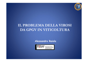 il problema della virosi da gpgv in viticoltura