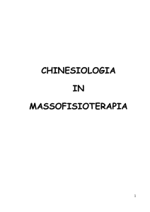 chinesiologia in massofisioterapia