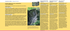 Contatto tettonico fra rocce metamorfiche e rocce sedimentarie