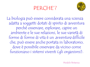 Il protoplasma - dst.unisannio.it