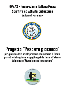 lungo gli argini del fiume lamone nel tratto faentino