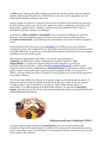 Polisaccaridi non Cellulosici (PNC) - Bodybuilding
