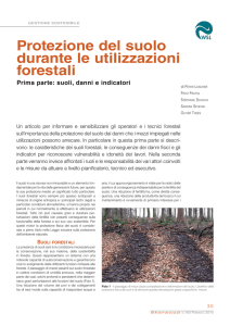 Protezione del suolo durante le utilizzazioni forestali Prima parte